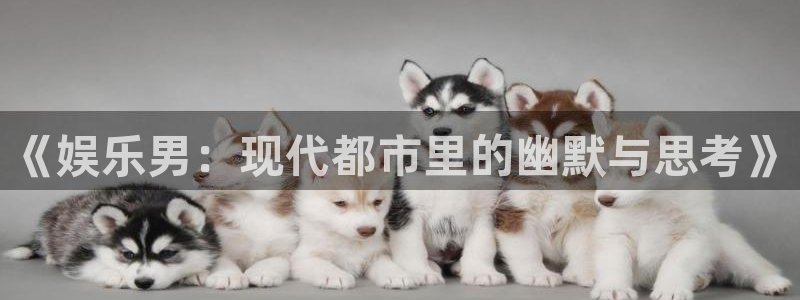 天狮娱乐