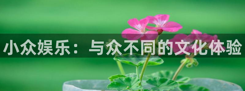 天狮娱乐