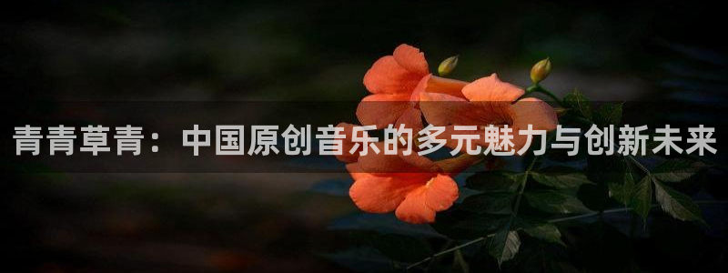 天狮娱乐